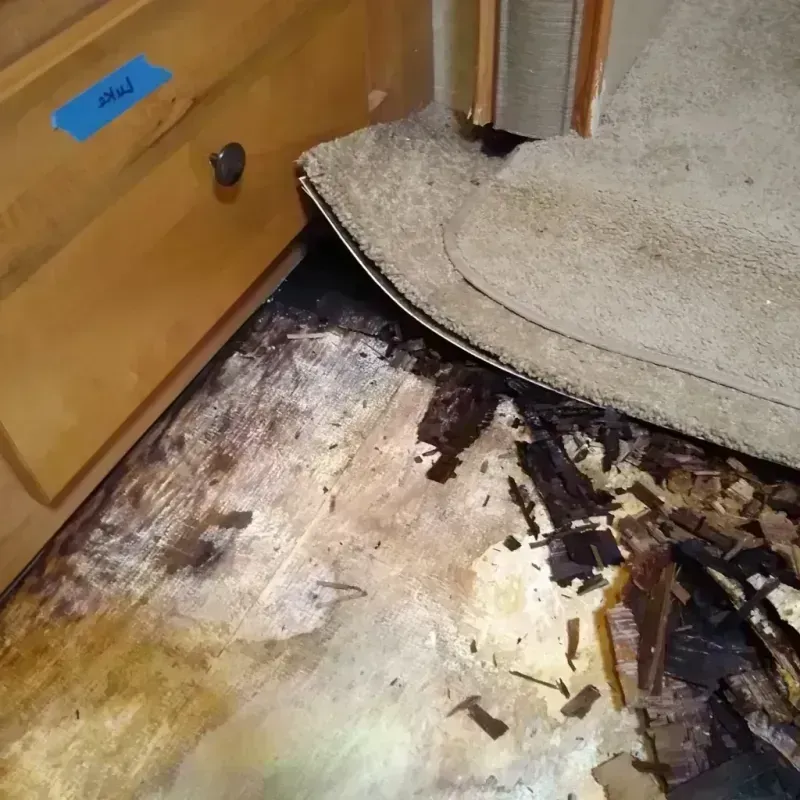 Wood Floor Water Damage in Catonsville, MD